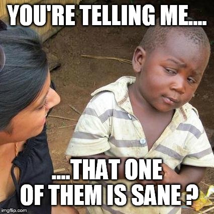 Third World Skeptical Kid Meme | YOU'RE TELLING ME.... ....THAT ONE OF THEM IS SANE ? | image tagged in memes,third world skeptical kid | made w/ Imgflip meme maker