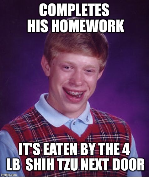 Bad Luck Brian Meme | COMPLETES HIS HOMEWORK IT'S EATEN BY THE 4 LB  SHIH TZU NEXT DOOR | image tagged in memes,bad luck brian | made w/ Imgflip meme maker