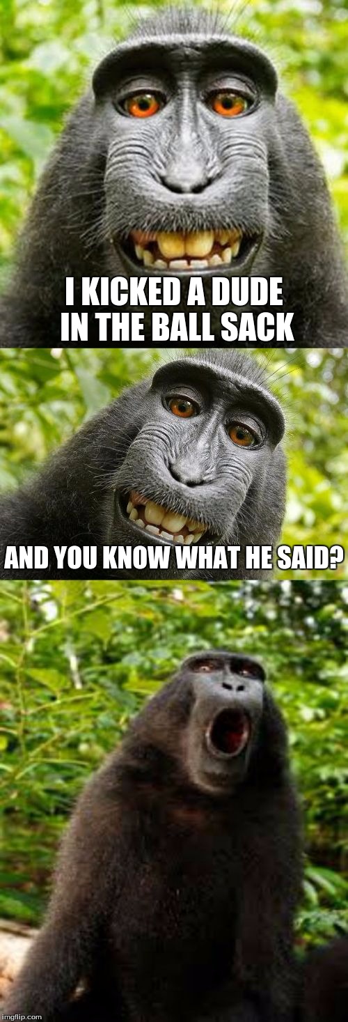Silent "O" | I KICKED A DUDE IN THE BALL SACK; AND YOU KNOW WHAT HE SAID? | image tagged in bad pun monkey,memes,pranks,douchebag,ouch,funny animals | made w/ Imgflip meme maker