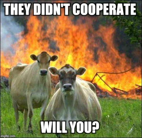 Evil Cows | THEY DIDN'T COOPERATE; WILL YOU? | image tagged in memes,evil cows | made w/ Imgflip meme maker