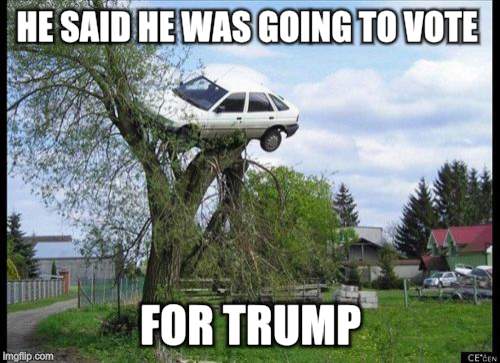 Secure Parking | HE SAID HE WAS GOING TO VOTE; FOR TRUMP | image tagged in memes,secure parking | made w/ Imgflip meme maker