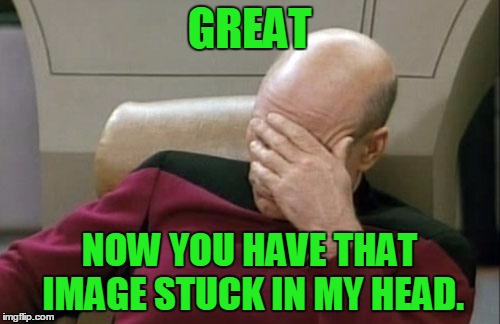 Captain Picard Facepalm Meme | GREAT NOW YOU HAVE THAT IMAGE STUCK IN MY HEAD. | image tagged in memes,captain picard facepalm | made w/ Imgflip meme maker