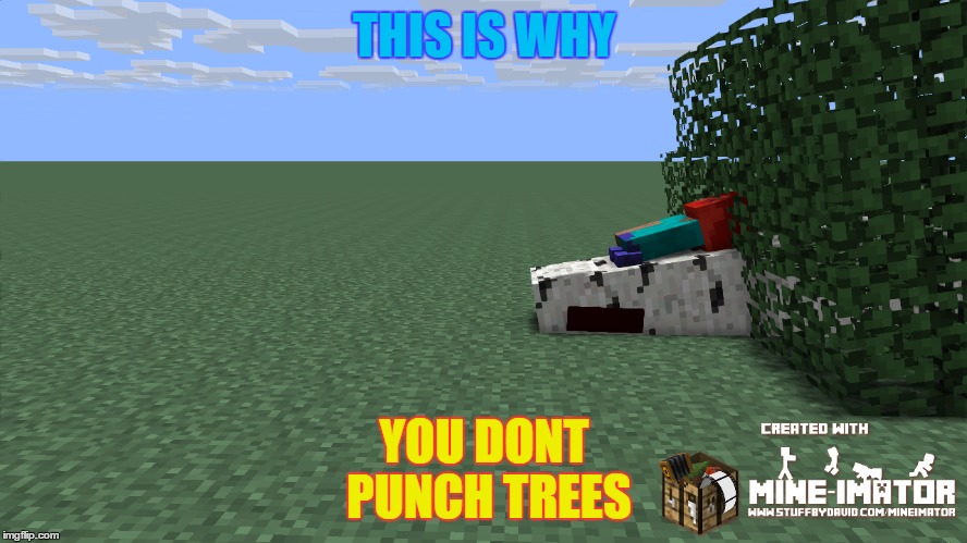 THIS IS WHY YOU DONT PUNCH TREES | THIS IS WHY; YOU DONT PUNCH TREES | image tagged in doge | made w/ Imgflip meme maker