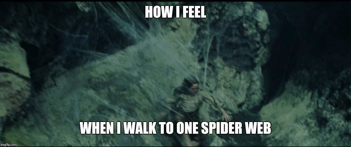 HOW I FEEL; WHEN I WALK TO ONE SPIDER WEB | image tagged in lotr,frodo,lawl | made w/ Imgflip meme maker