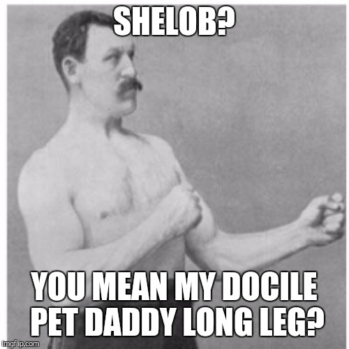 Overly Manly Man Meme | SHELOB? YOU MEAN MY DOCILE PET DADDY LONG LEG? | image tagged in memes,overly manly man | made w/ Imgflip meme maker