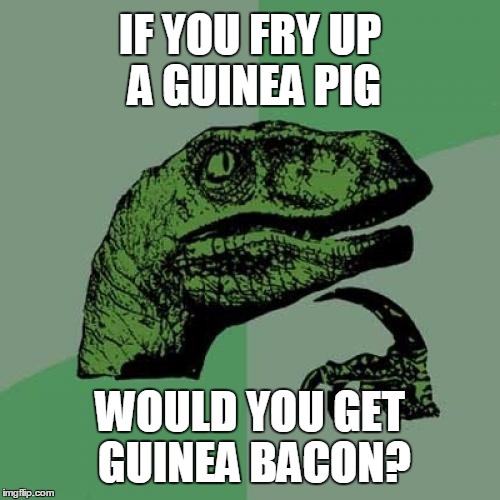 Sounds tasty! | IF YOU FRY UP A GUINEA PIG; WOULD YOU GET GUINEA BACON? | image tagged in memes,philosoraptor,bacon | made w/ Imgflip meme maker