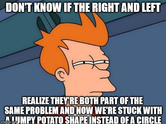 Futurama Fry Meme | DON'T KNOW IF THE RIGHT AND LEFT REALIZE THEY'RE BOTH PART OF THE SAME PROBLEM AND NOW WE'RE STUCK WITH A LUMPY POTATO SHAPE INSTEAD OF A CI | image tagged in memes,futurama fry | made w/ Imgflip meme maker