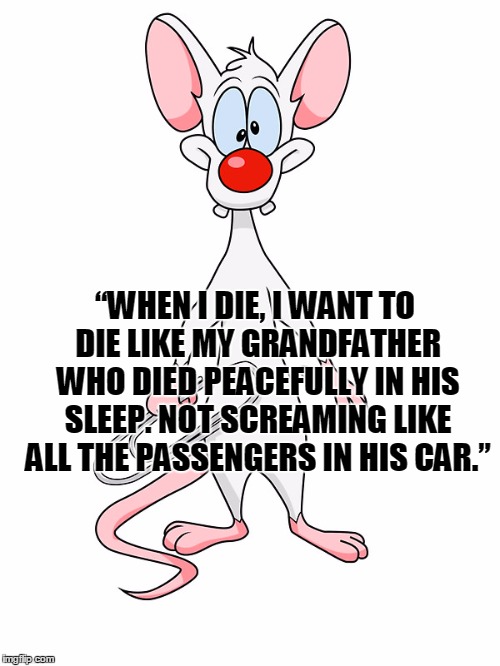 “WHEN I DIE, I WANT TO DIE LIKE MY GRANDFATHER WHO DIED PEACEFULLY IN HIS SLEEP. NOT SCREAMING LIKE ALL THE PASSENGERS IN HIS CAR.” | image tagged in narf | made w/ Imgflip meme maker