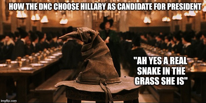 Harry Potter Sorting Hat | HOW THE DNC CHOOSE HILLARY AS CANDIDATE FOR PRESIDENT; "AH YES A REAL SNAKE IN THE GRASS SHE IS" | image tagged in harry potter sorting hat | made w/ Imgflip meme maker