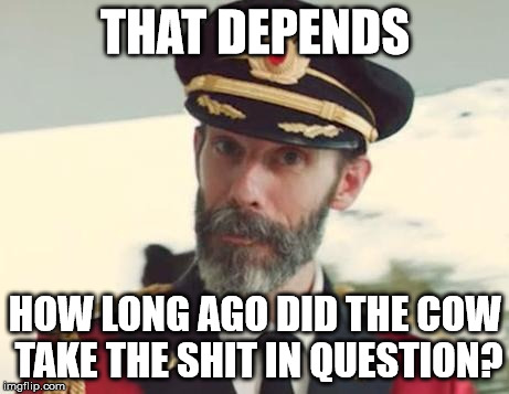 THAT DEPENDS HOW LONG AGO DID THE COW TAKE THE SHIT IN QUESTION? | image tagged in captain obvious | made w/ Imgflip meme maker