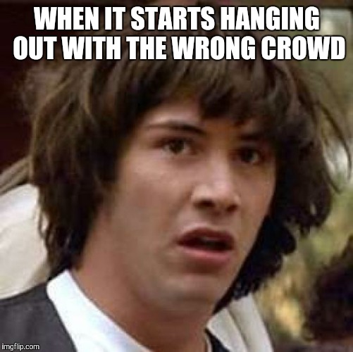 Conspiracy Keanu Meme | WHEN IT STARTS HANGING OUT WITH THE WRONG CROWD | image tagged in memes,conspiracy keanu | made w/ Imgflip meme maker