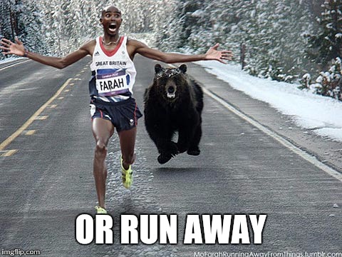 OR RUN AWAY | made w/ Imgflip meme maker
