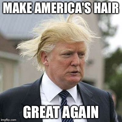Donald Trump | MAKE AMERICA'S HAIR; GREAT AGAIN | image tagged in donald trump | made w/ Imgflip meme maker