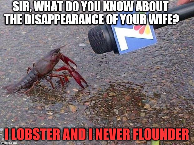 Crawfish Interview | SIR, WHAT DO YOU KNOW ABOUT THE DISAPPEARANCE OF YOUR WIFE? I LOBSTER AND I NEVER FLOUNDER | image tagged in crawfish interview | made w/ Imgflip meme maker