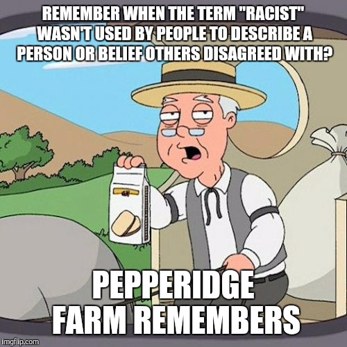 Pepperidge Farm Remembers Meme | REMEMBER WHEN THE TERM "RACIST" WASN'T USED BY PEOPLE TO DESCRIBE A PERSON OR BELIEF OTHERS DISAGREED WITH? PEPPERIDGE FARM REMEMBERS | image tagged in memes,pepperidge farm remembers | made w/ Imgflip meme maker