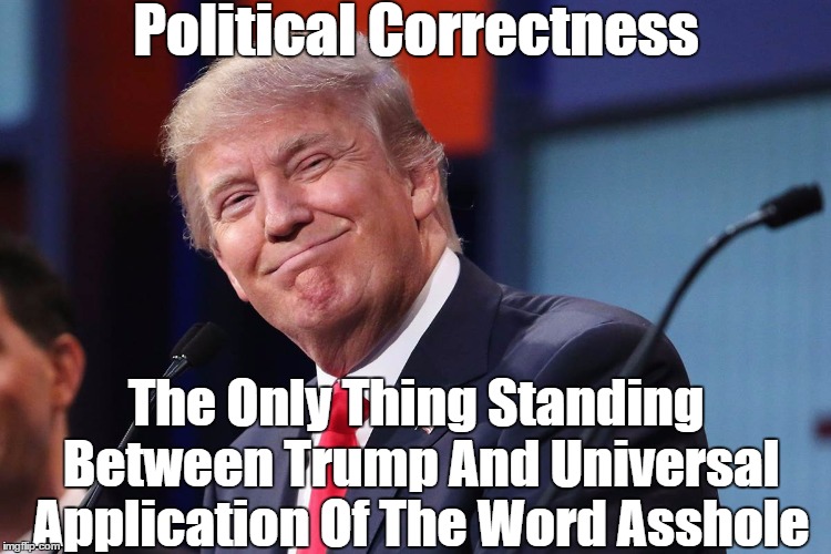 Political Correctness The Only Thing Standing Between Trump And Universal Application Of The Word Asshole | made w/ Imgflip meme maker