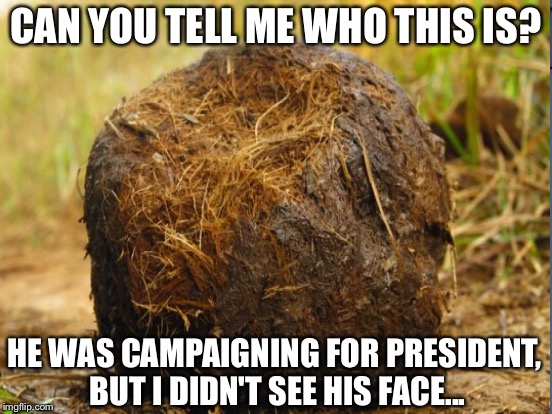  CAN YOU TELL ME WHO THIS IS? HE WAS CAMPAIGNING FOR PRESIDENT, BUT I DIDN'T SEE HIS FACE... | image tagged in politics | made w/ Imgflip meme maker