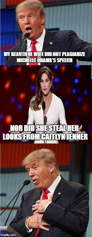 Bad Pun Trump | MY BEAUTIFUL WIFE DID NOT PLAGIARIZE MICHELLE OBAMA'S SPEECH; NOR DID SHE STEAL HER LOOKS FROM CAITLYN JENNER | image tagged in bad pun trump | made w/ Imgflip meme maker