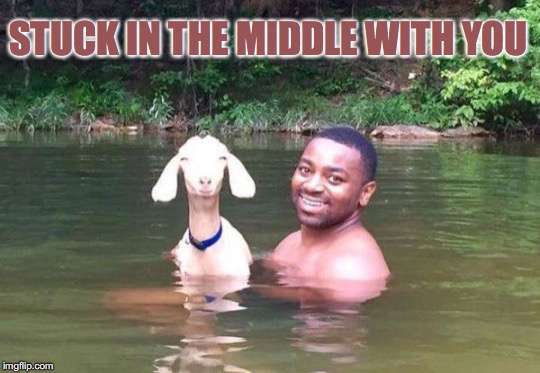 Oh My Goat! | STUCK IN THE MIDDLE WITH YOU | image tagged in funny goat,happy,swim,river | made w/ Imgflip meme maker