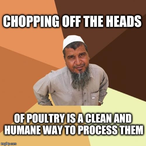 PETA approves of this meme | CHOPPING OFF THE HEADS; OF POULTRY IS A CLEAN AND HUMANE WAY TO PROCESS THEM | image tagged in memes,ordinary muslim man,peta | made w/ Imgflip meme maker