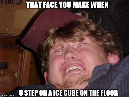 WTF | THAT FACE YOU MAKE WHEN; U STEP ON A ICE CUBE ON THE FLOOR | image tagged in memes,wtf | made w/ Imgflip meme maker