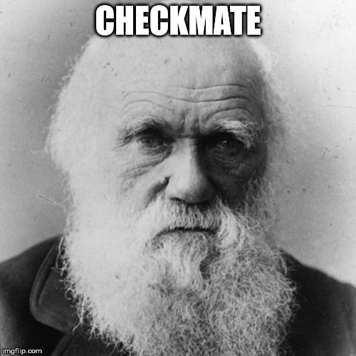 CHECKMATE | image tagged in darwin | made w/ Imgflip meme maker