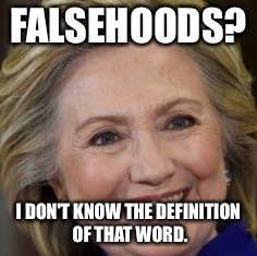 FALSEHOODS? I DON'T KNOW THE DEFINITION OF THAT WORD. | made w/ Imgflip meme maker