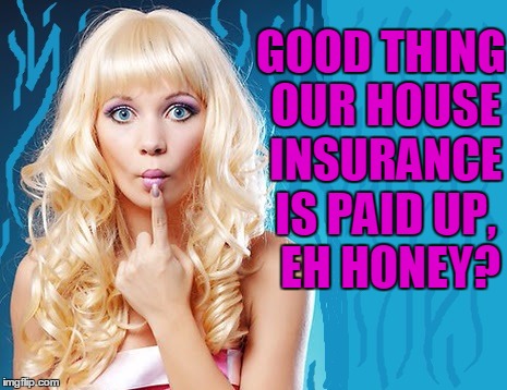 ditzy blonde | GOOD THING OUR HOUSE INSURANCE IS PAID UP,  EH HONEY? | image tagged in ditzy blonde | made w/ Imgflip meme maker