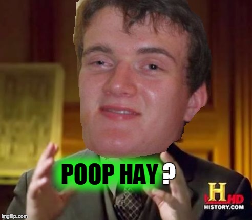 POOP HAY ? | made w/ Imgflip meme maker