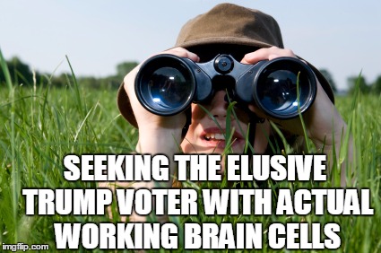 Where the heck do these creatures HIDE??? | SEEKING THE ELUSIVE TRUMP VOTER WITH ACTUAL WORKING BRAIN CELLS | image tagged in looking | made w/ Imgflip meme maker
