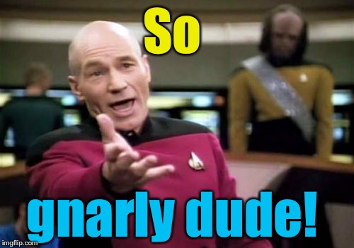 Picard Wtf Meme | So gnarly dude! | image tagged in memes,picard wtf | made w/ Imgflip meme maker