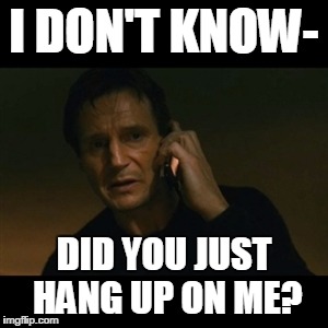 Liam Neeson Taken Meme | I DON'T KNOW-; DID YOU JUST HANG UP ON ME? | image tagged in memes,liam neeson taken | made w/ Imgflip meme maker