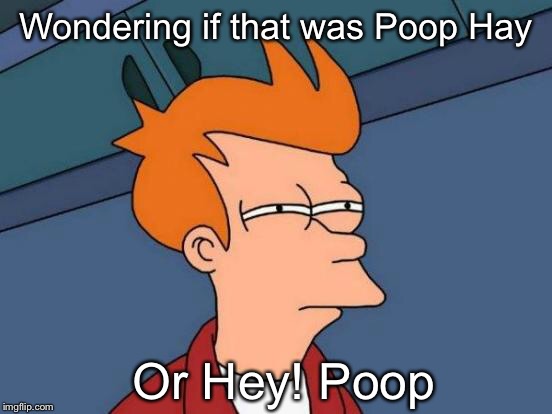 Futurama Fry Meme | Wondering if that was Poop Hay Or Hey! Poop | image tagged in memes,futurama fry | made w/ Imgflip meme maker