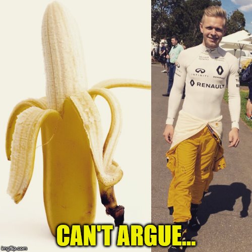 If you leave him in the sun he goes brown | CAN'T ARGUE... | image tagged in memes,banana,kevin magnussen,formula 1,motorsport,sport | made w/ Imgflip meme maker