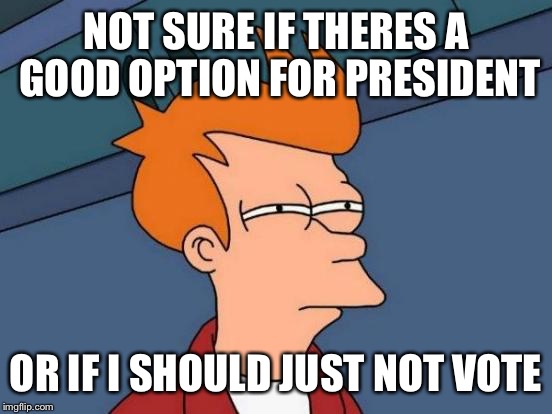 At times like this... | NOT SURE IF THERES A GOOD OPTION FOR PRESIDENT; OR IF I SHOULD JUST NOT VOTE | image tagged in memes,futurama fry,political,voting | made w/ Imgflip meme maker