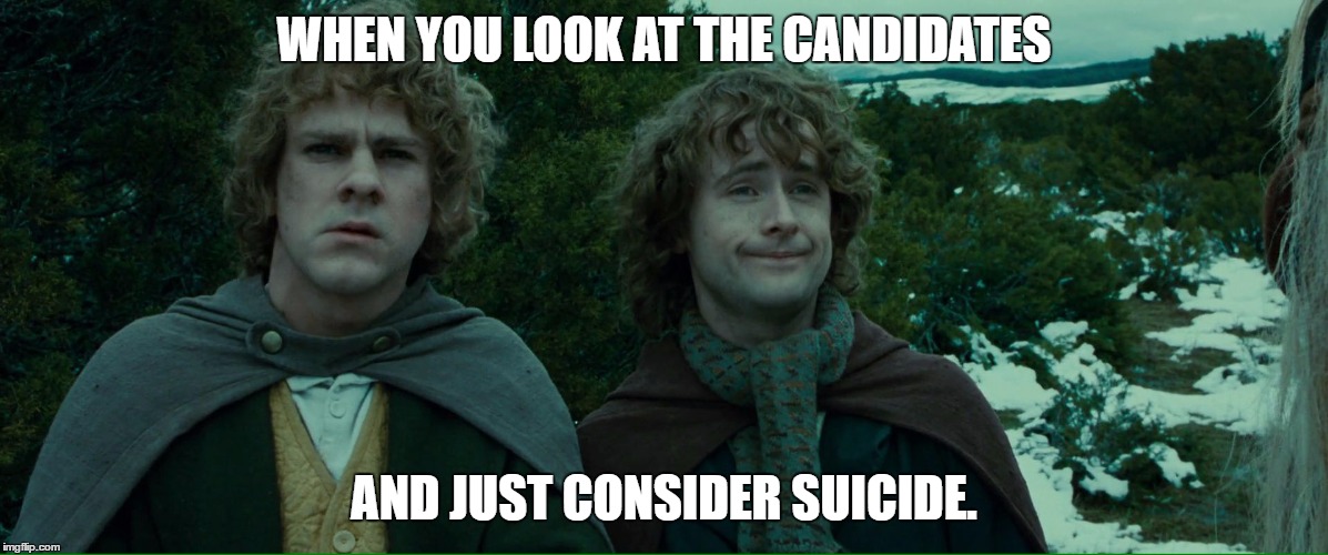 Lord of the Rings LOTR Elevenses | WHEN YOU LOOK AT THE CANDIDATES; AND JUST CONSIDER SUICIDE. | image tagged in lord of the rings lotr elevenses | made w/ Imgflip meme maker
