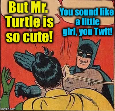 Batman Slapping Robin Meme | But Mr. Turtle is so cute! You sound like a little girl, you Twit! | image tagged in memes,batman slapping robin | made w/ Imgflip meme maker