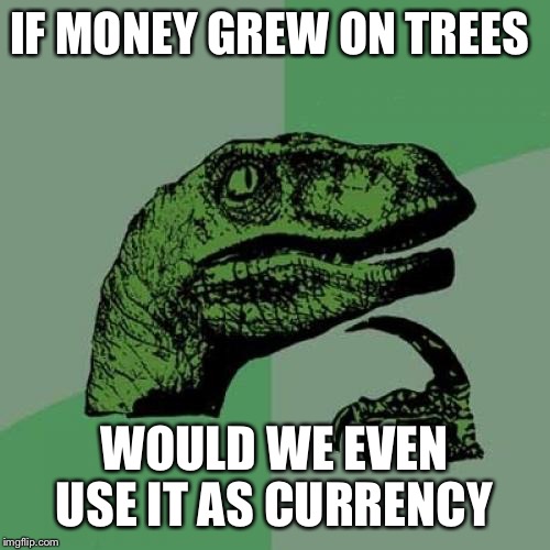 Philosoraptor | IF MONEY GREW ON TREES; WOULD WE EVEN USE IT AS CURRENCY | image tagged in memes,philosoraptor | made w/ Imgflip meme maker