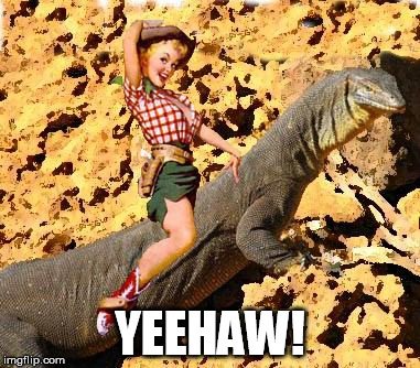 yeehaw! | YEEHAW! | image tagged in cowgirl,lizard,yeehaw | made w/ Imgflip meme maker