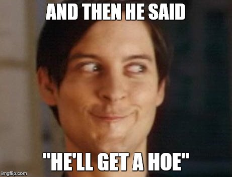 AND THEN HE SAID "HE'LL GET A HOE" | image tagged in peter parker | made w/ Imgflip meme maker