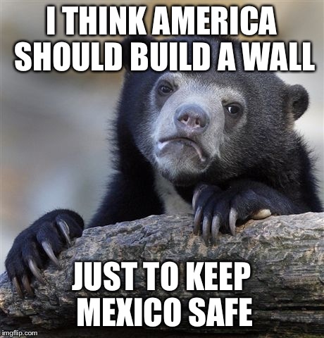 Confession Bear | I THINK AMERICA SHOULD BUILD A WALL; JUST TO KEEP MEXICO SAFE | image tagged in memes,confession bear | made w/ Imgflip meme maker