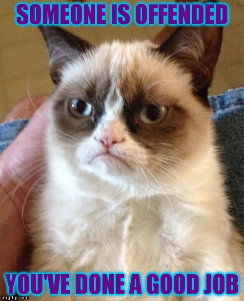 Grumpy Cat Meme | SOMEONE IS OFFENDED YOU'VE DONE A GOOD JOB | image tagged in memes,grumpy cat | made w/ Imgflip meme maker