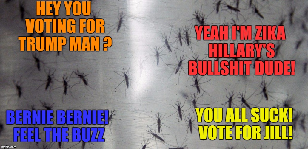 zika speaks | YEAH I'M ZIKA HILLARY'S BULLSHIT DUDE! HEY YOU VOTING FOR TRUMP MAN ? YOU ALL SUCK! VOTE FOR JILL! BERNIE BERNIE! FEEL THE BUZZ | image tagged in satire,political meme | made w/ Imgflip meme maker