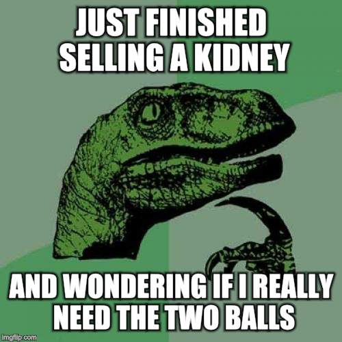 Philosoraptor | JUST FINISHED SELLING A KIDNEY; AND WONDERING IF I REALLY NEED THE TWO BALLS | image tagged in memes,philosoraptor | made w/ Imgflip meme maker