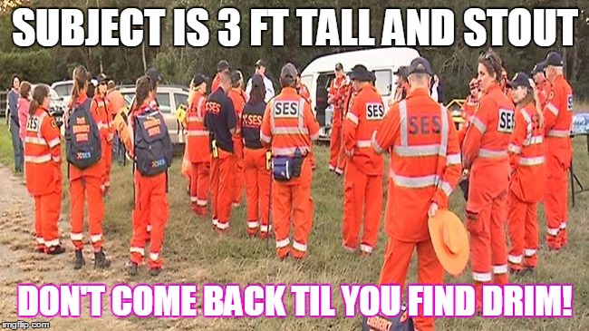  Search party  | SUBJECT IS 3 FT TALL AND STOUT; DON'T COME BACK TIL YOU FIND DRIM! | image tagged in search party | made w/ Imgflip meme maker