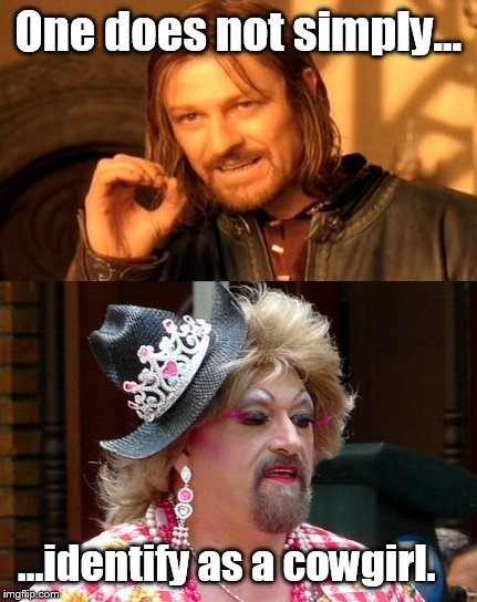 Honkey tonk drag queen  | One does not simply... ...identify as a cowgirl. | image tagged in funny,memes,one does not simply,cowgirl | made w/ Imgflip meme maker