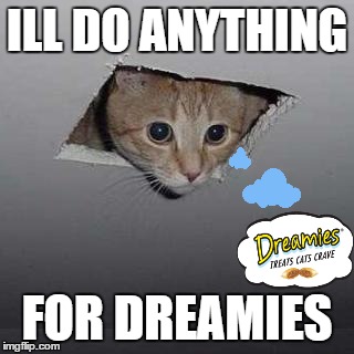 What a cat will do for Dreamies | ILL DO ANYTHING; FOR DREAMIES | image tagged in memes,ceiling cat,dreamies,cat treats,food | made w/ Imgflip meme maker