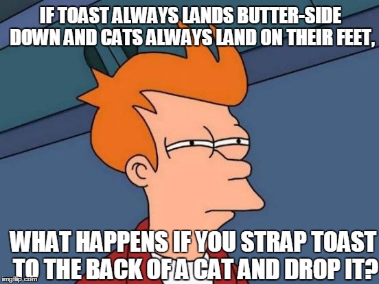 Cats And Toasts | IF TOAST ALWAYS LANDS BUTTER-SIDE DOWN AND CATS ALWAYS LAND ON THEIR FEET, WHAT HAPPENS IF YOU STRAP TOAST TO THE BACK OF A CAT AND DROP IT? | image tagged in memes,futurama fry | made w/ Imgflip meme maker