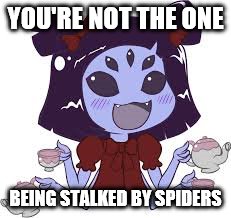 YOU'RE NOT THE ONE BEING STALKED BY SPIDERS | made w/ Imgflip meme maker