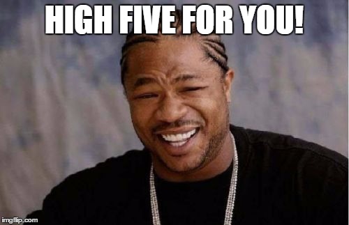 Yo Dawg Heard You Meme | HIGH FIVE FOR YOU! | image tagged in memes,yo dawg heard you | made w/ Imgflip meme maker